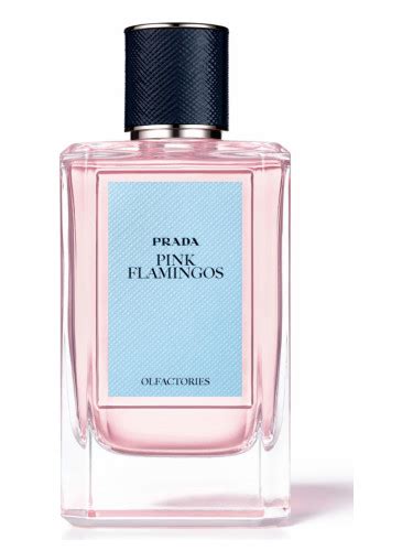 prada pink flamingo perfume|prada pink flamingos.